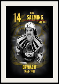Stig Salming Hedringsvepa Brynäs-2