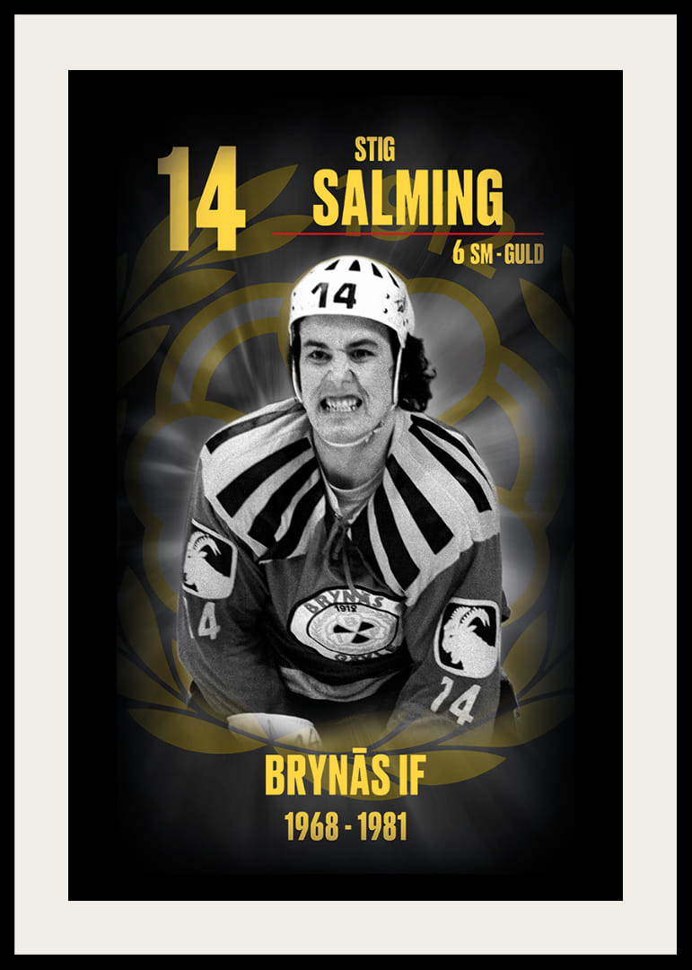 Stig Salming Hedringsvepa Brynäs-12