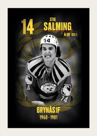 Stig Salming Hedringsvepa Brynäs-3