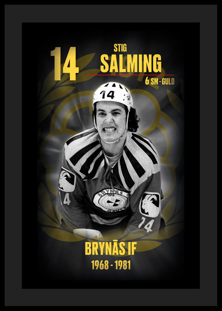 Stig Salming Hedringsvepa Brynäs-12