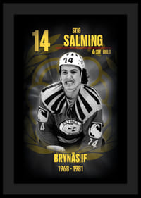 Stig Salming Hedringsvepa Brynäs-4