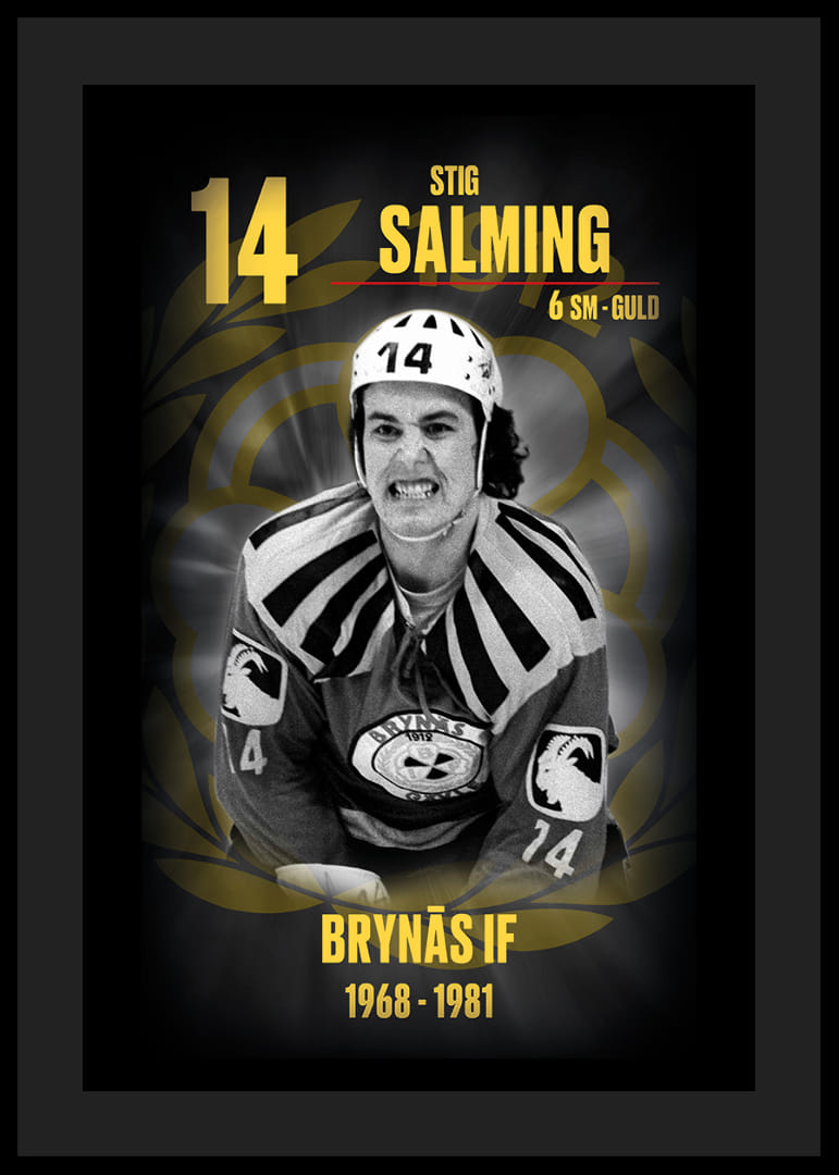 Stig Salming Hedringsvepa Brynäs-12
