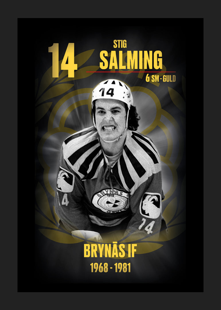 Stig Salming Hedringsvepa Brynäs-12