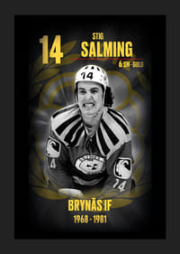 Stig Salming Hedringsvepa Brynäs-5