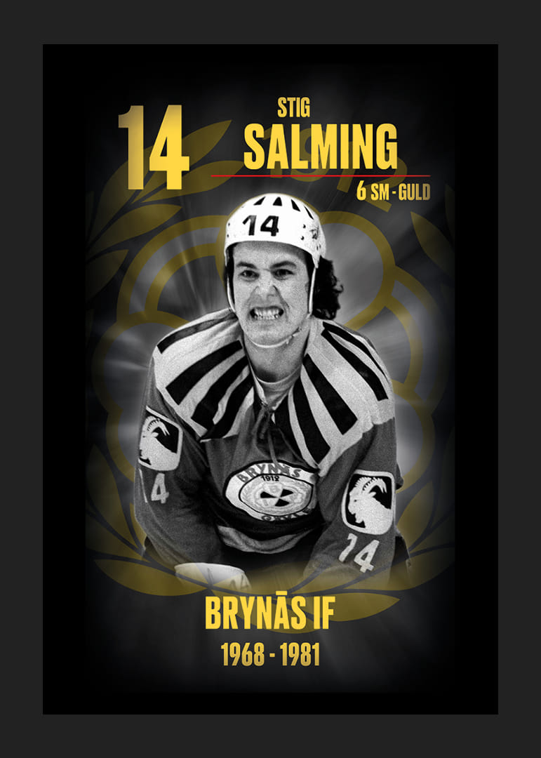 Stig Salming Hedringsvepa Brynäs-12