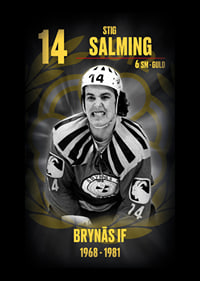 Stig Salming Hedringsvepa Brynäs-6
