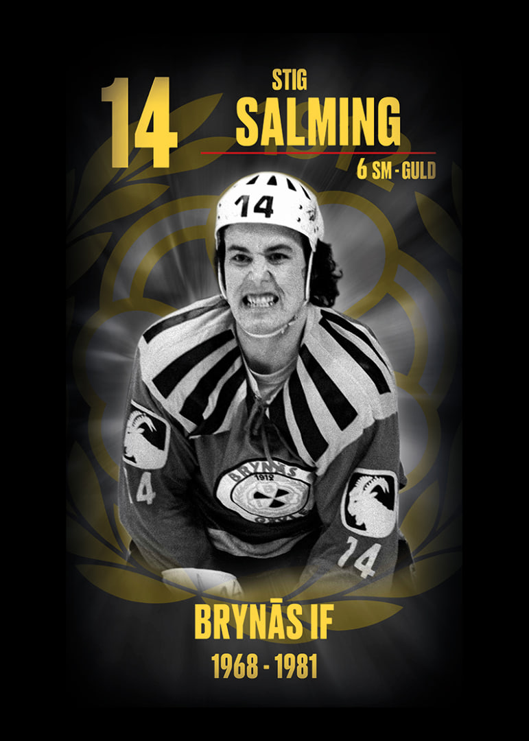 Stig Salming Hedringsvepa Brynäs-12