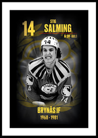 Stig Salming Hedringsvepa Brynäs-0