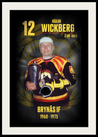 Håkan Wickberg Hedringsvepa Brynäs-2