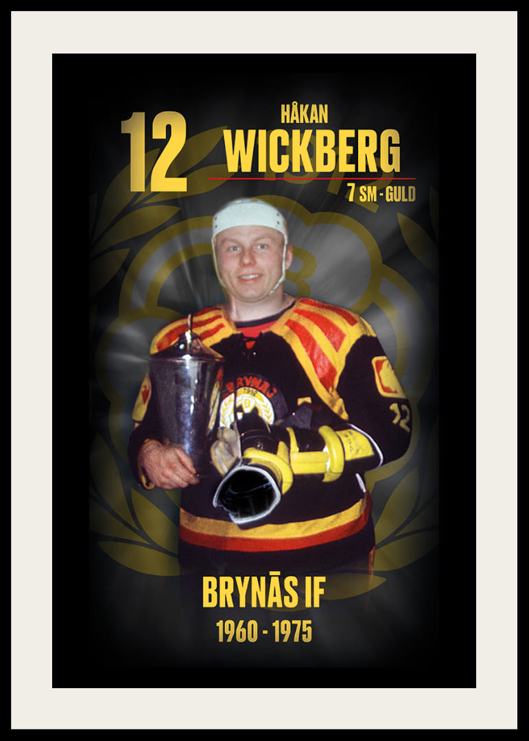 Håkan Wickberg Hedringsvepa Brynäs-12