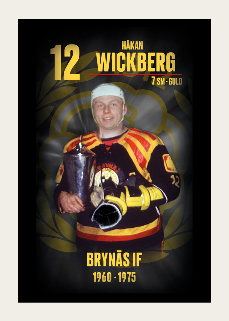 Håkan Wickberg Hedringsvepa Brynäs-12
