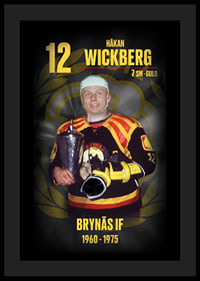 Håkan Wickberg Hedringsvepa Brynäs-4