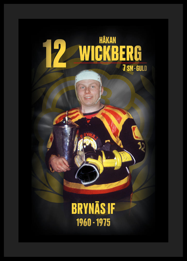 Håkan Wickberg Hedringsvepa Brynäs-12