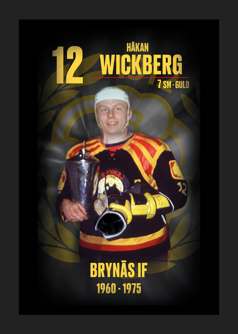 Håkan Wickberg Hedringsvepa Brynäs-12