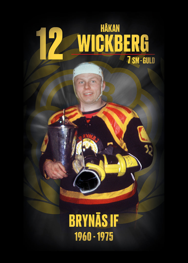 Håkan Wickberg Hedringsvepa Brynäs-12