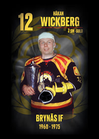 Håkan Wickberg Hedringsvepa Brynäs-7