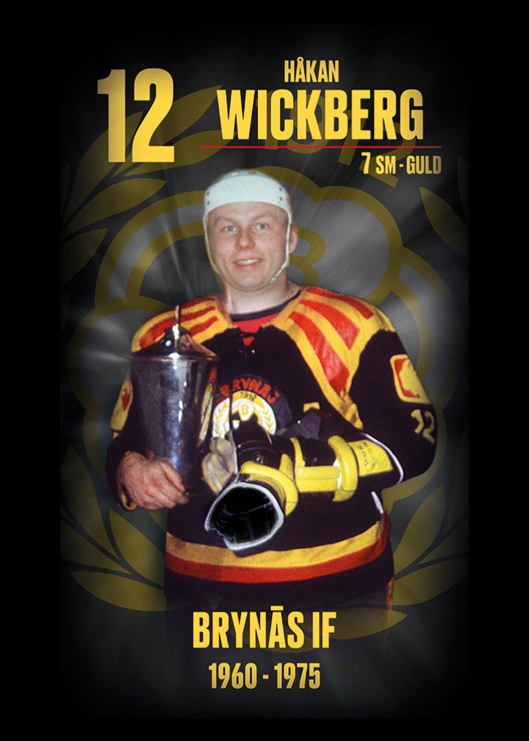 Håkan Wickberg Hedringsvepa Brynäs-12