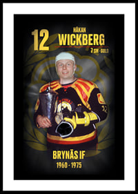 Håkan Wickberg Hedringsvepa Brynäs-0