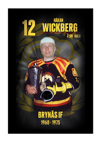 Håkan Wickberg Hedringsvepa Brynäs-1