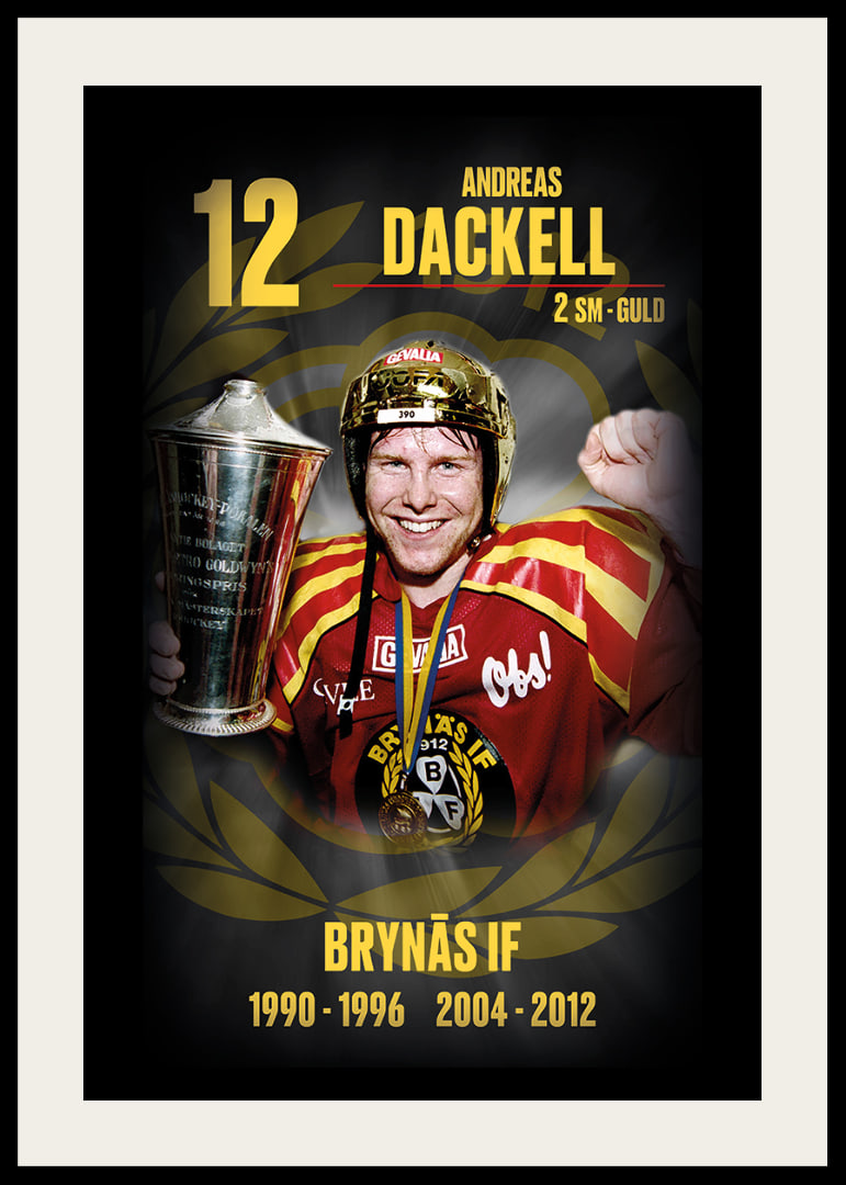 Andreas Dackell Hedringsvepa Brynäs-12