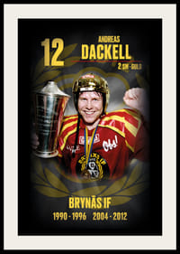Andreas Dackell Hedringsvepa Brynäs-2