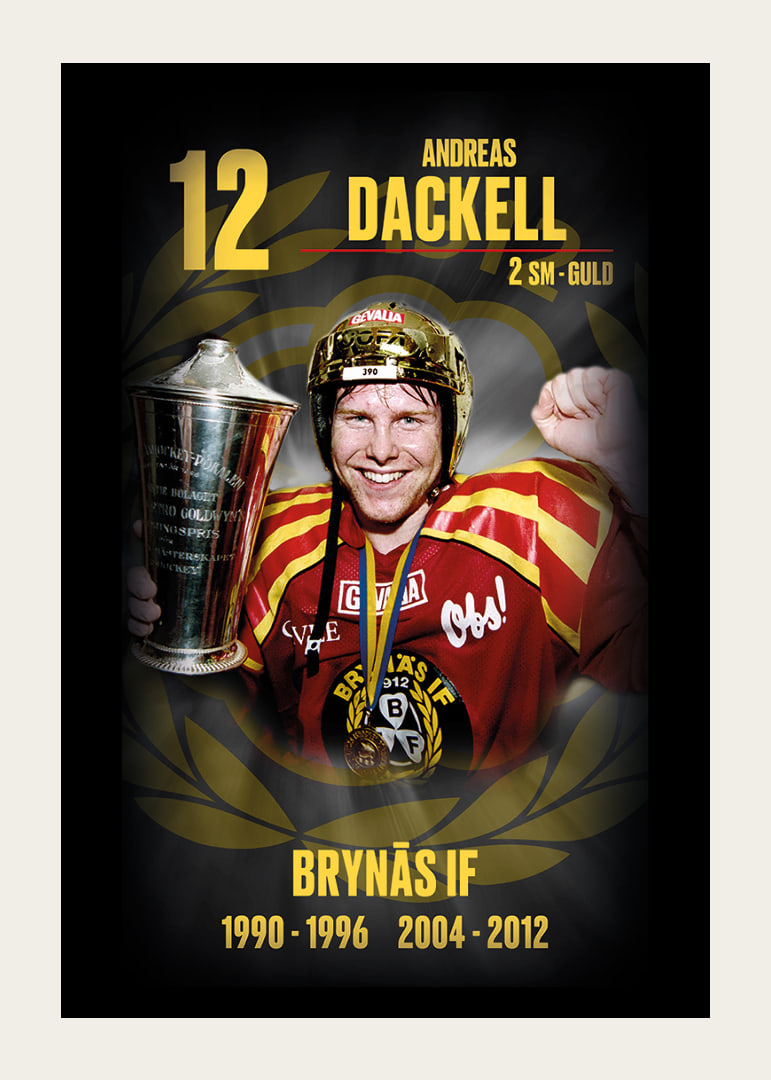 Andreas Dackell Hedringsvepa Brynäs-12