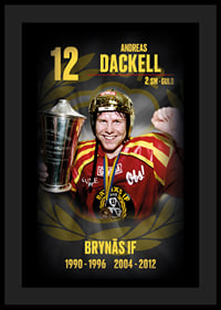Andreas Dackell Hedringsvepa Brynäs-4