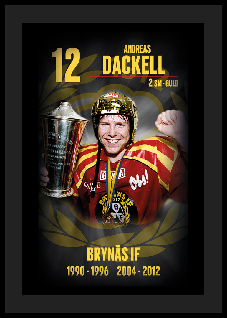 Andreas Dackell Hedringsvepa Brynäs-12