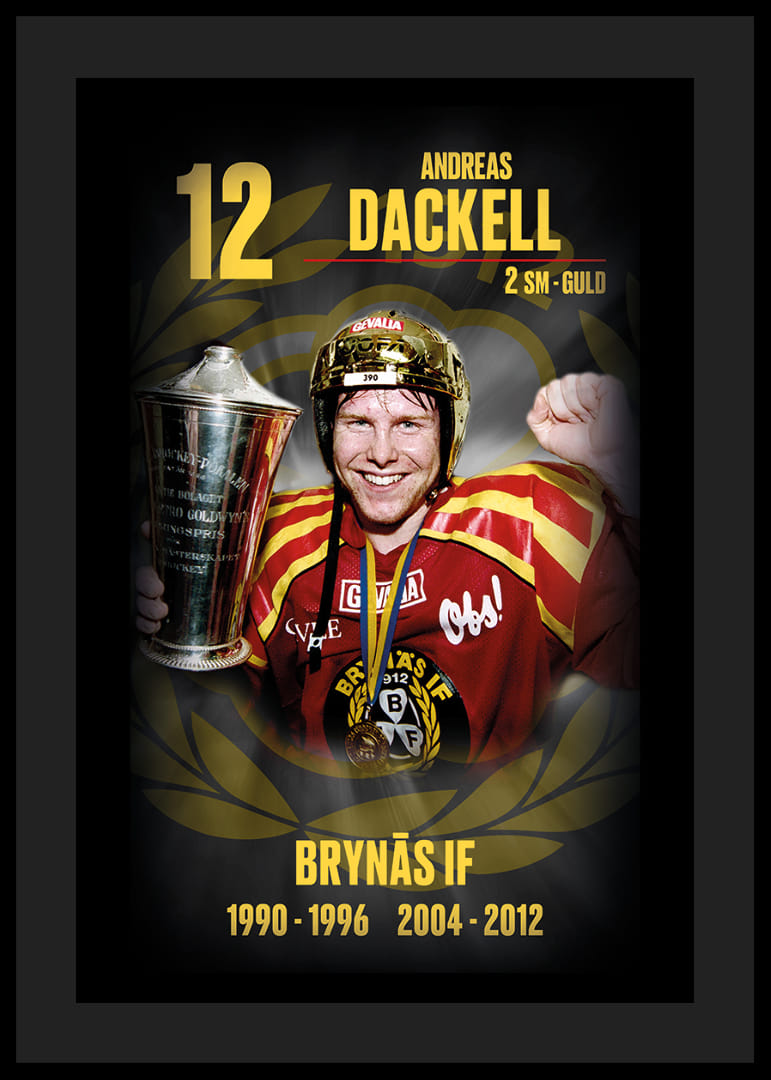 Andreas Dackell Hedringsvepa Brynäs-12