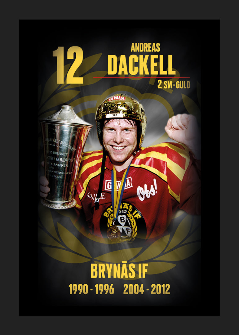 Andreas Dackell Hedringsvepa Brynäs-12