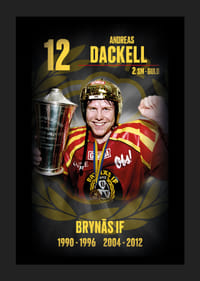 Andreas Dackell Hedringsvepa Brynäs-5