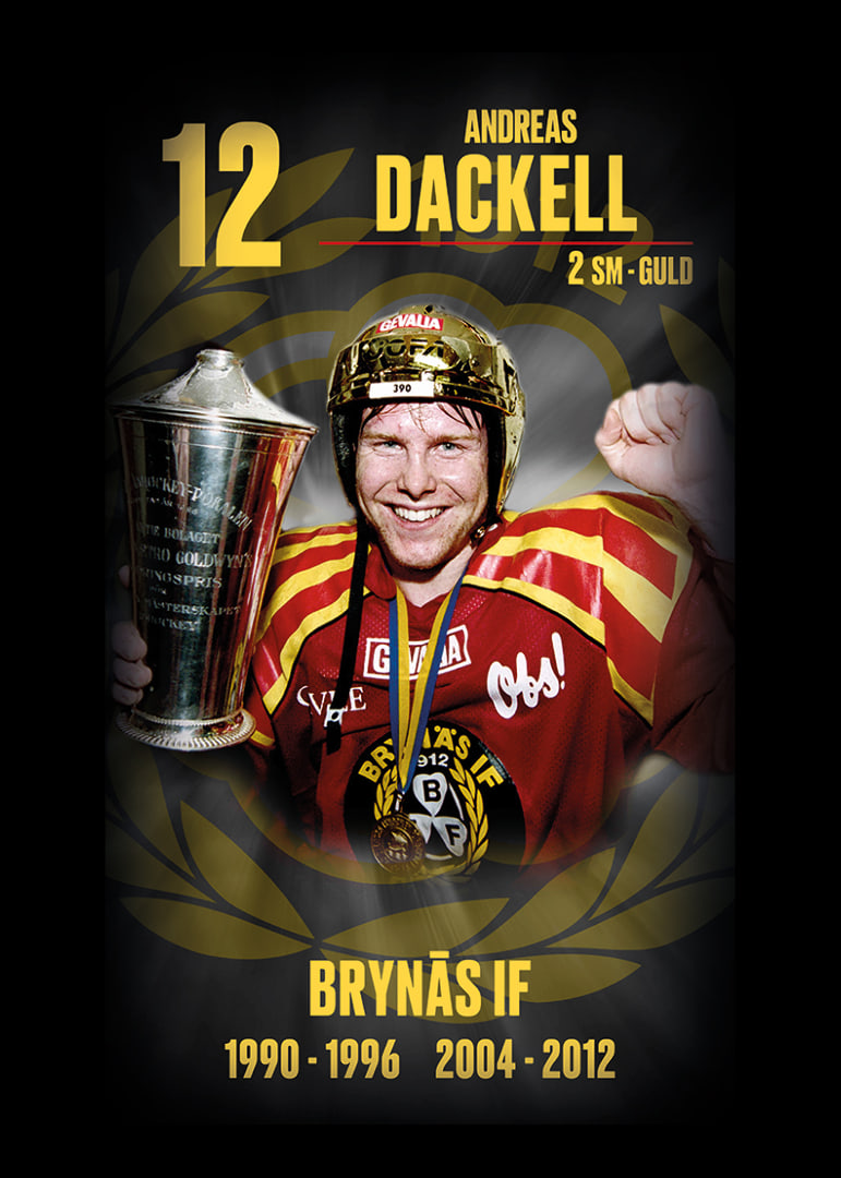 Andreas Dackell Hedringsvepa Brynäs-12