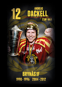 Andreas Dackell Hedringsvepa Brynäs-7