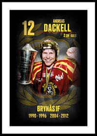 Andreas Dackell Hedringsvepa Brynäs-0