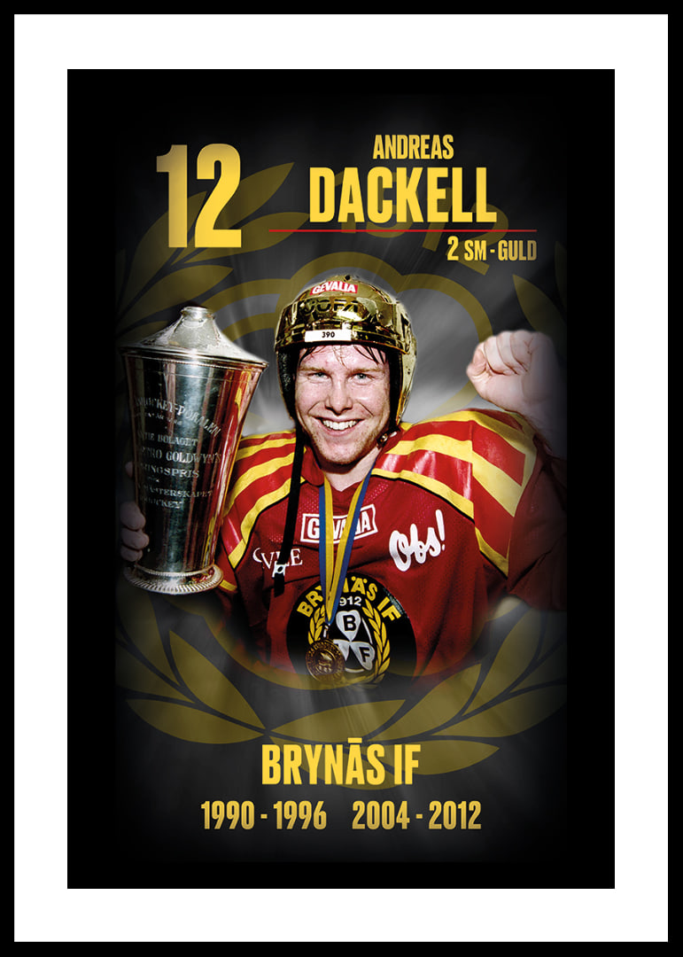 Andreas Dackell Hedringsvepa Brynäs-12