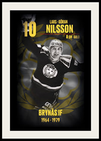 Lars-Göran Nilsson Hedringsvepa Brynäs-2