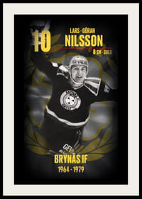 Lars-Göran Nilsson Hedringsvepa Brynäs-2