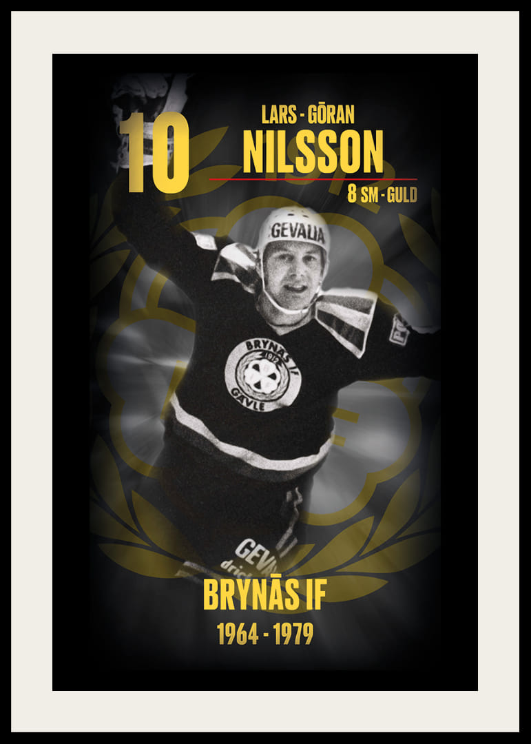 Lars-Göran Nilsson Hedringsvepa Brynäs-12