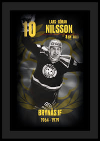 Lars-Göran Nilsson Hedringsvepa Brynäs-4