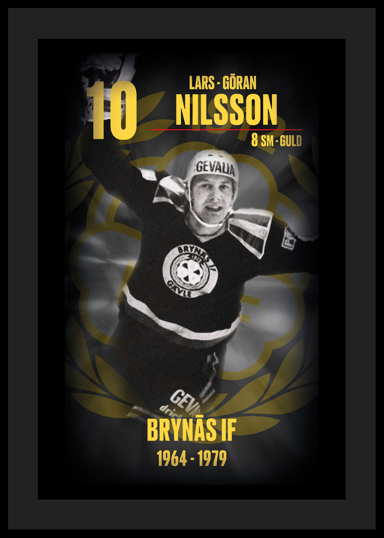 Lars-Göran Nilsson Hedringsvepa Brynäs-12