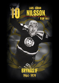 Lars-Göran Nilsson Hedringsvepa Brynäs-7