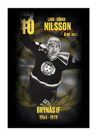 Lars-Göran Nilsson Hedringsvepa Brynäs-1