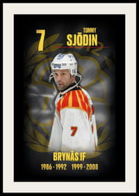 Tommy Sjödin Hedringsvepa Brynäs-2
