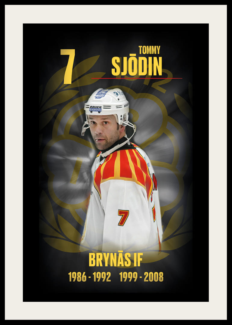 Tommy Sjödin Hedringsvepa Brynäs-12