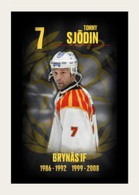 Tommy Sjödin Hedringsvepa Brynäs-3