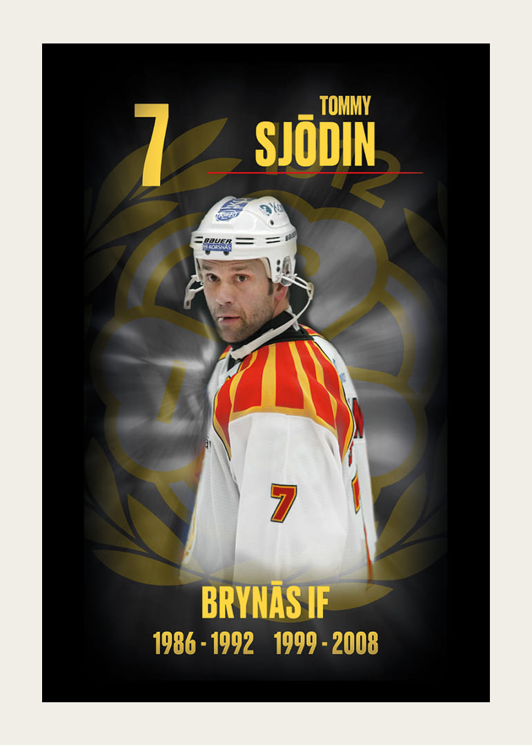 Tommy Sjödin Hedringsvepa Brynäs-12