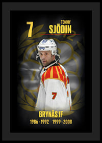 Tommy Sjödin Hedringsvepa Brynäs-4