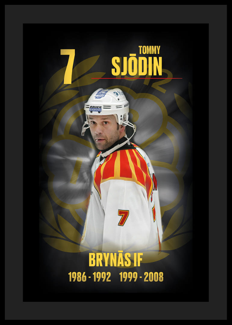 Tommy Sjödin Hedringsvepa Brynäs-12