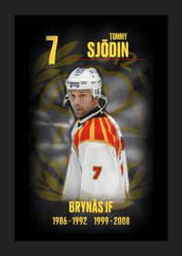Tommy Sjödin Hedringsvepa Brynäs-5
