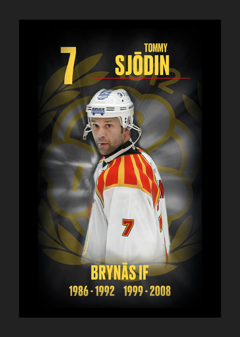Tommy Sjödin Hedringsvepa Brynäs-12